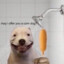 i ate corn dog in shower