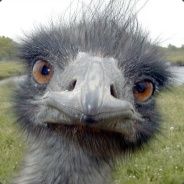 Dank - steam id 76561197960680572
