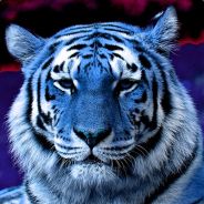 21deuS - steam id 76561197974019147