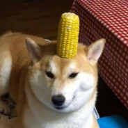 Corn