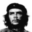 Ernesto el Che