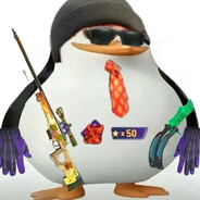 马达加斯加随机手