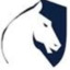 team liquid careca