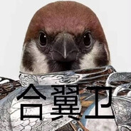 没有玩过艾尔登法环的