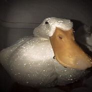 $𝕚𝕟𝕋𝕒ℝ?