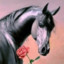 TheRoseHorse