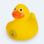 MickeyDuck@bandit
