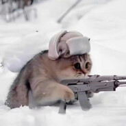 总有笨蛋喜欢跟着念我带派网名