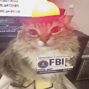 Кот FBI