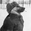 фастрон