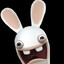 Rabbid