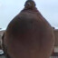 XxNinja_MegaFalconzordxX
