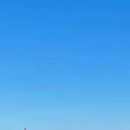 犯错像迷恋镜花水月的