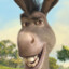 Donkey