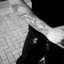 killscndrl^•.¸♥