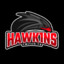 Hawk1ns
