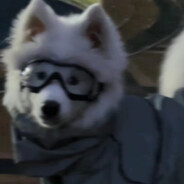 不会再有新故事