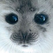 Sealtastic