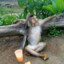 Chilling Monkey