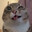Nihil