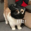 打打打打打_劫