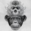 Apewrecks