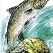 ✖†***▲▼***☽⋱⇅⋰☾***▽△***†Setx