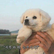 CaptainOhYeah's avatar