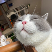 撸起袖子。。。