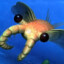 Anomalocaris