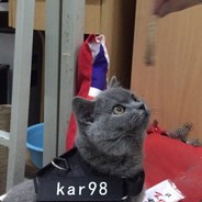 言而总之总而言之