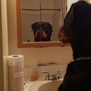 ? - steam id 76561198365512963