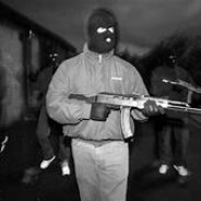 fmx.n11 go.elders.ro