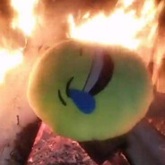 Pachu