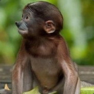 ★★★Pioter★★★