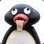 bongo pengo