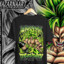 marcas broly