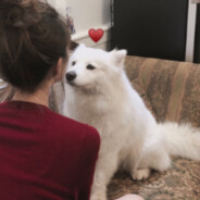 你上最佳谁在上她