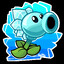 Setropy