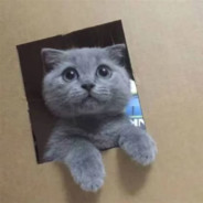 99年继爸杨（痒）