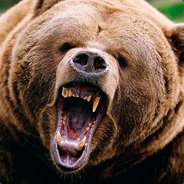 MrNounours