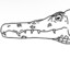 Durusalamandra crocodilus