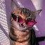 Мятый Котенок