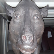 Bruxz avatar