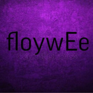 FloywEe.csgorun