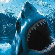 Sharktooth1177 - steam id 76561197971041428