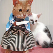 12点老子倍儿精神