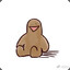 Ligy
