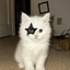 Avatar of player ^._.^