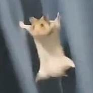 Жёсткий Хомяк